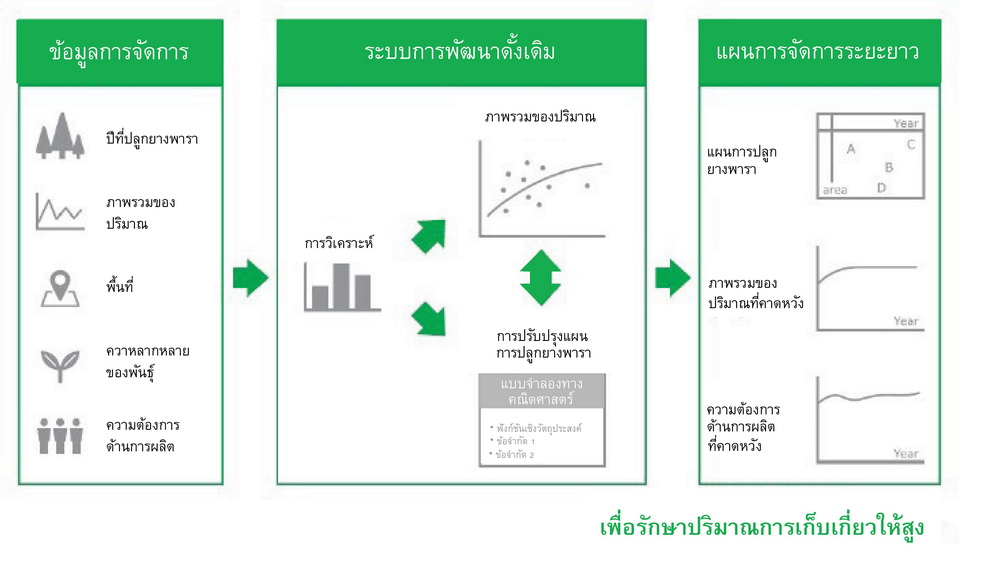 บริดจสโตนใช้ Big Data วางแผนการปลูกต้นยางพารา เพื่อช่วยเพิ่มผลผลิตให้แก่สวนยางพารา